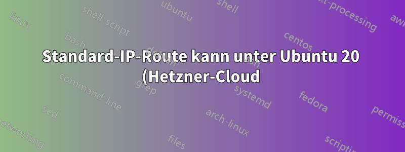 Standard-IP-Route kann unter Ubuntu 20 (Hetzner-Cloud) nicht beibehalten werden