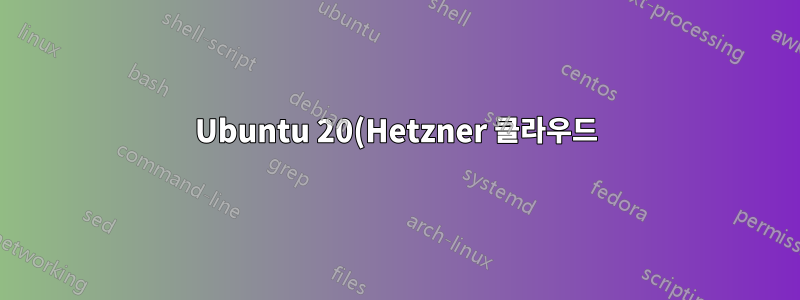 Ubuntu 20(Hetzner 클라우드)에서 기본 IP 경로를 유지할 수 없습니다.