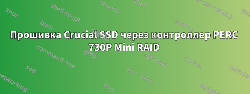 Прошивка Crucial SSD через контроллер PERC 730P Mini RAID