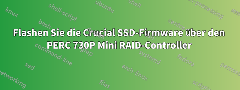 Flashen Sie die Crucial SSD-Firmware über den PERC 730P Mini RAID-Controller