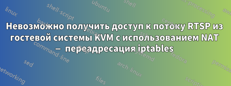 Невозможно получить доступ к потоку RTSP из гостевой системы KVM с использованием NAT — переадресация iptables