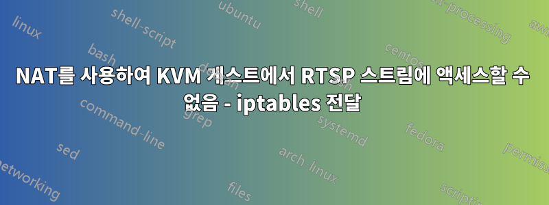 NAT를 사용하여 KVM 게스트에서 RTSP 스트림에 액세스할 수 없음 - iptables 전달