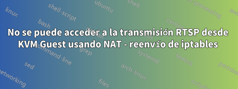 No se puede acceder a la transmisión RTSP desde KVM Guest usando NAT - reenvío de iptables