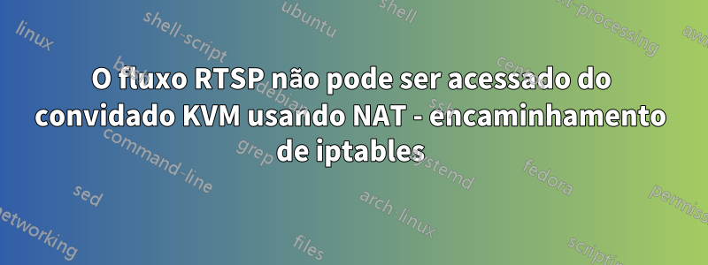 O fluxo RTSP não pode ser acessado do convidado KVM usando NAT - encaminhamento de iptables