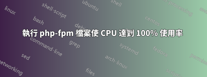 執行 php-fpm 檔案使 CPU 達到 100% 使用率