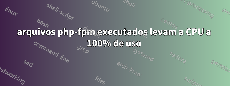 arquivos php-fpm executados levam a CPU a 100% de uso