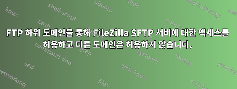 FTP 하위 도메인을 통해 FileZilla SFTP 서버에 대한 액세스를 허용하고 다른 도메인은 허용하지 않습니다.