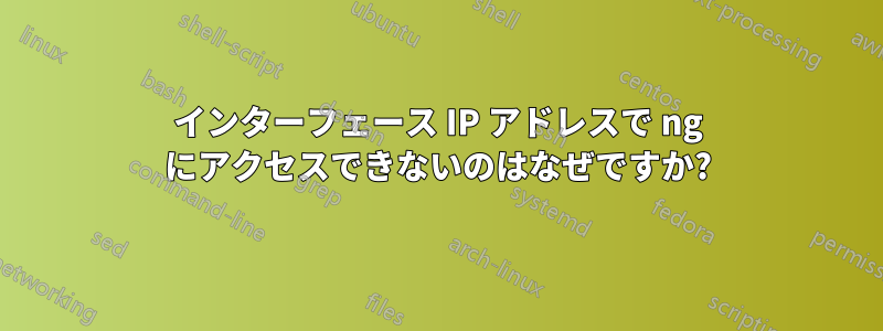 インターフェース IP アドレスで ng にアクセスできないのはなぜですか?