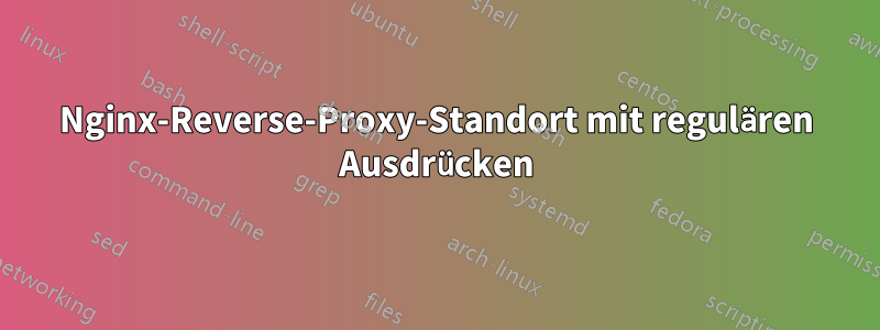 Nginx-Reverse-Proxy-Standort mit regulären Ausdrücken