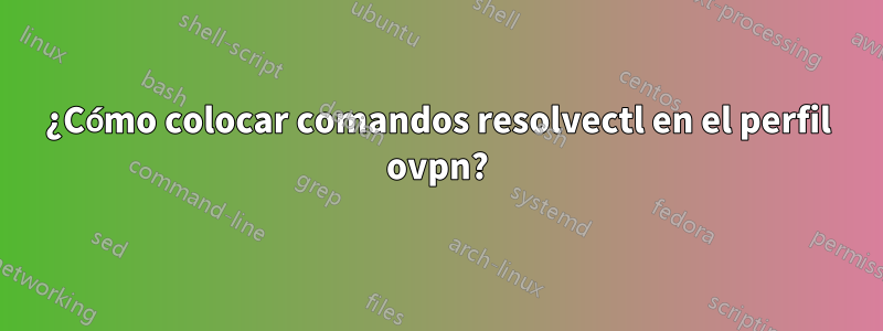 ¿Cómo colocar comandos resolvectl en el perfil ovpn?