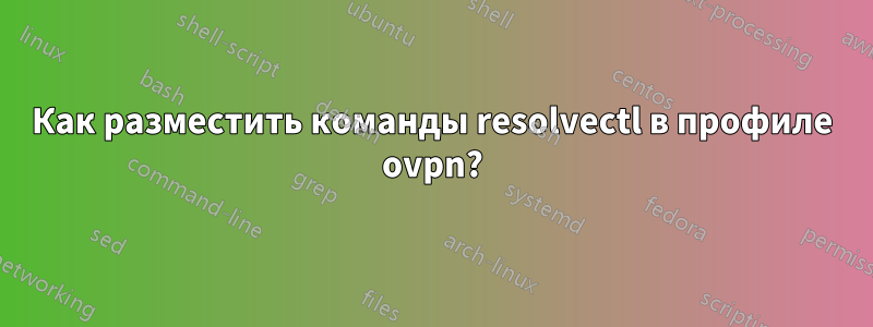 Как разместить команды resolvectl в профиле ovpn?