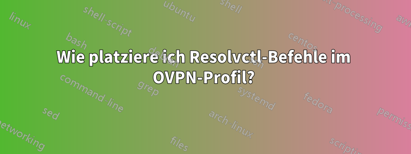 Wie platziere ich Resolvctl-Befehle im OVPN-Profil?