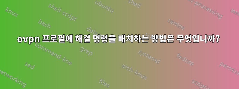 ovpn 프로필에 해결 명령을 배치하는 방법은 무엇입니까?