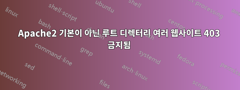 Apache2 기본이 아닌 루트 디렉터리 여러 웹사이트 403 금지됨