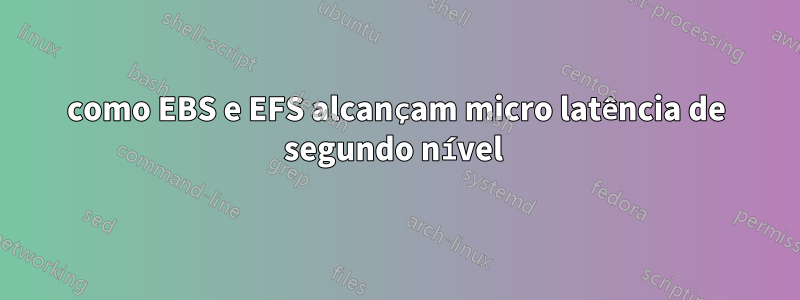 como EBS e EFS alcançam micro latência de segundo nível 