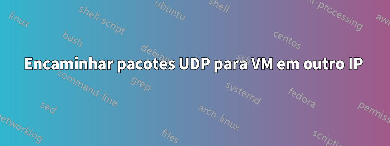 Encaminhar pacotes UDP para VM em outro IP