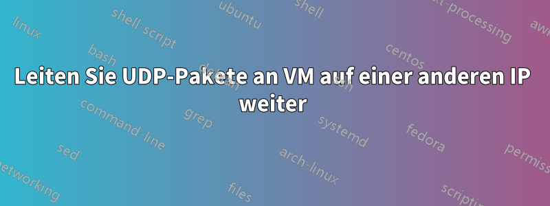 Leiten Sie UDP-Pakete an VM auf einer anderen IP weiter