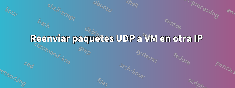 Reenviar paquetes UDP a VM en otra IP