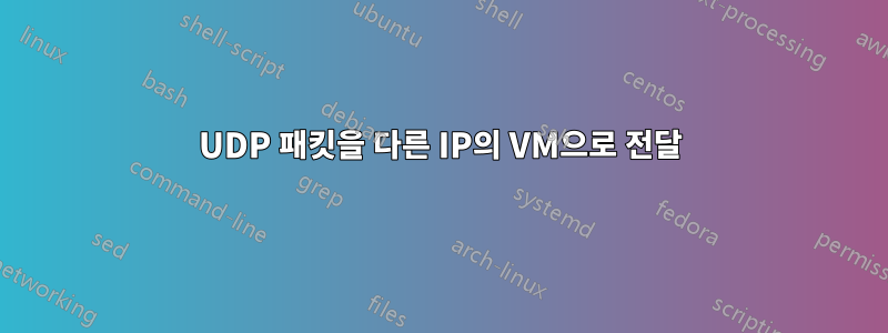 UDP 패킷을 다른 IP의 VM으로 전달