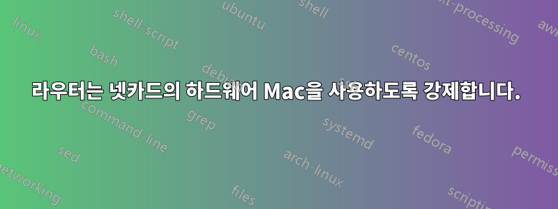 라우터는 넷카드의 하드웨어 Mac을 사용하도록 강제합니다.