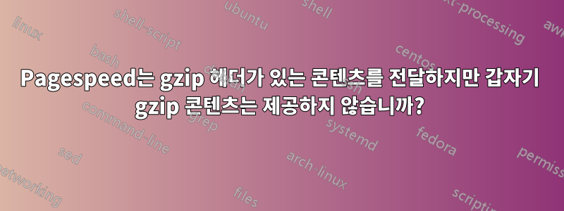 Pagespeed는 gzip 헤더가 있는 콘텐츠를 전달하지만 갑자기 gzip 콘텐츠는 제공하지 않습니까?