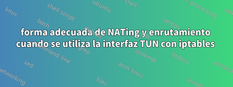 forma adecuada de NATing y enrutamiento cuando se utiliza la interfaz TUN con iptables