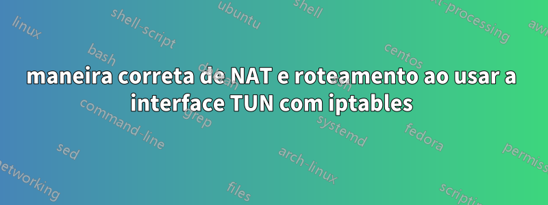 maneira correta de NAT e roteamento ao usar a interface TUN com iptables