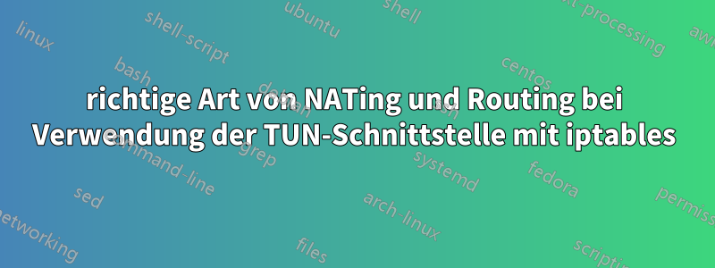 richtige Art von NATing und Routing bei Verwendung der TUN-Schnittstelle mit iptables