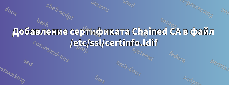 Добавление сертификата Chained CA в файл /etc/ssl/certinfo.ldif