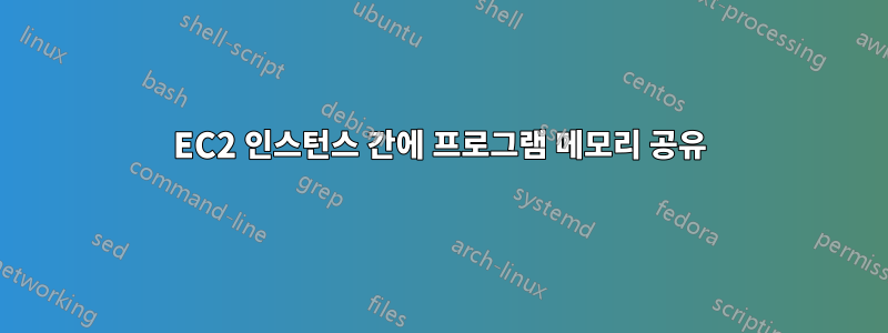 EC2 인스턴스 간에 프로그램 메모리 공유