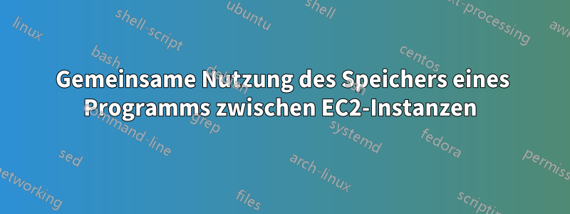 Gemeinsame Nutzung des Speichers eines Programms zwischen EC2-Instanzen 