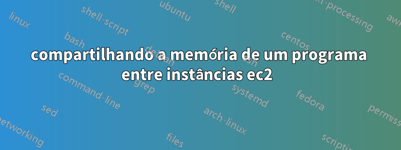 compartilhando a memória de um programa entre instâncias ec2 