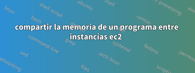 compartir la memoria de un programa entre instancias ec2 