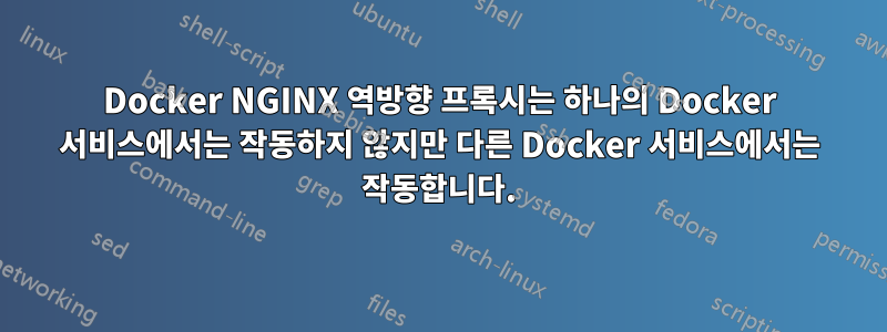 Docker NGINX 역방향 프록시는 하나의 Docker 서비스에서는 작동하지 않지만 다른 Docker 서비스에서는 작동합니다.