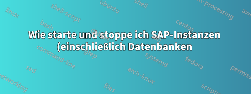 Wie starte und stoppe ich SAP-Instanzen (einschließlich Datenbanken) automatisch beim Booten bzw. Herunterfahren des Betriebssystems?