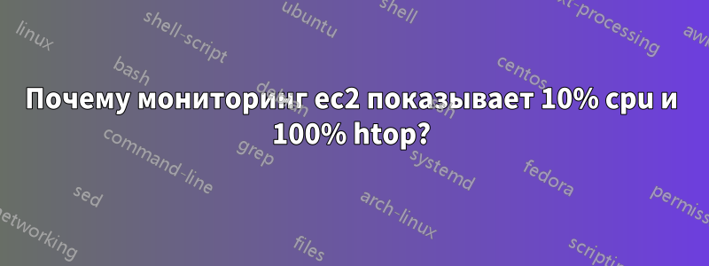 Почему мониторинг ec2 показывает 10% cpu и 100% htop?