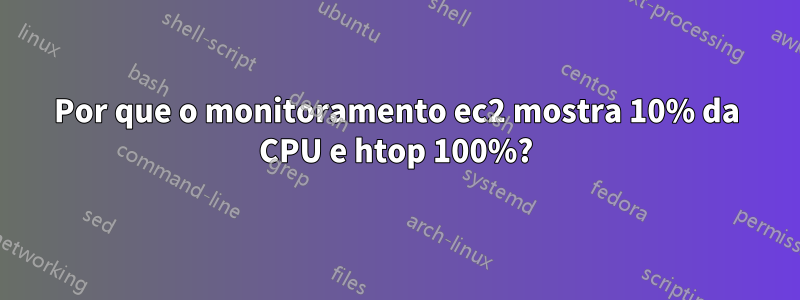 Por que o monitoramento ec2 mostra 10% da CPU e htop 100%?