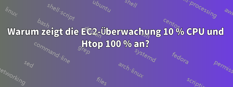 Warum zeigt die EC2-Überwachung 10 % CPU und Htop 100 % an?