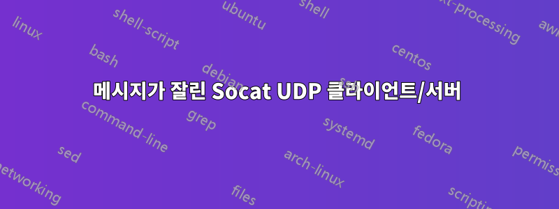 메시지가 잘린 Socat UDP 클라이언트/서버