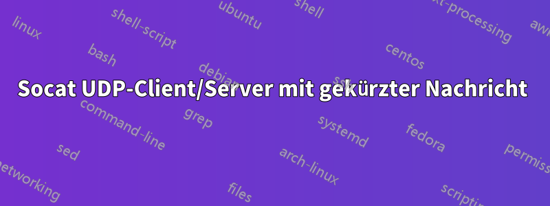 Socat UDP-Client/Server mit gekürzter Nachricht