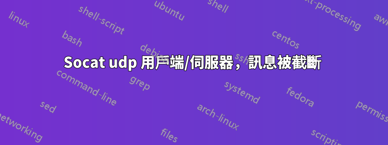 Socat udp 用戶端/伺服器，訊息被截斷