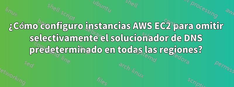 ¿Cómo configuro instancias AWS EC2 para omitir selectivamente el solucionador de DNS predeterminado en todas las regiones?