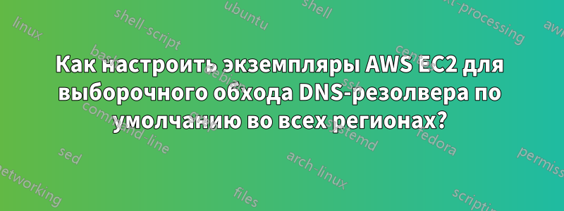 Как настроить экземпляры AWS EC2 для выборочного обхода DNS-резолвера по умолчанию во всех регионах?