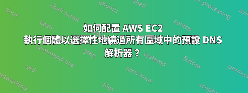 如何配置 AWS EC2 執行個體以選擇性地繞過所有區域中的預設 DNS 解析器？