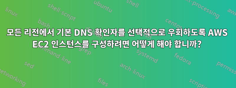 모든 리전에서 기본 DNS 확인자를 선택적으로 우회하도록 AWS EC2 인스턴스를 구성하려면 어떻게 해야 합니까?