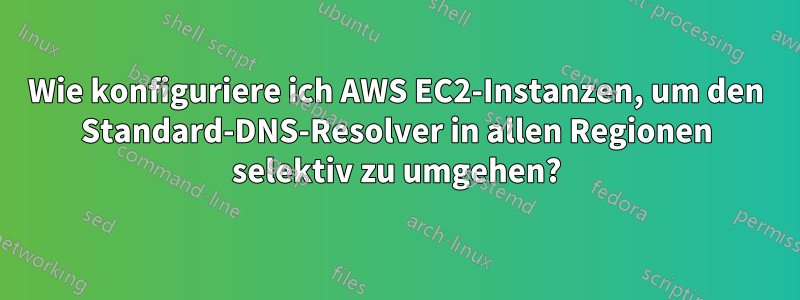 Wie konfiguriere ich AWS EC2-Instanzen, um den Standard-DNS-Resolver in allen Regionen selektiv zu umgehen?