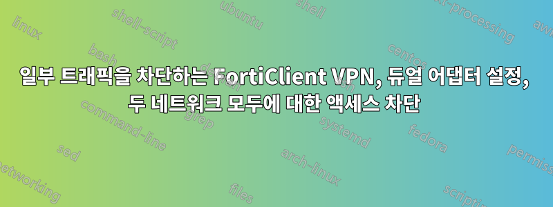 일부 트래픽을 차단하는 FortiClient VPN, 듀얼 어댑터 설정, 두 네트워크 모두에 대한 액세스 차단