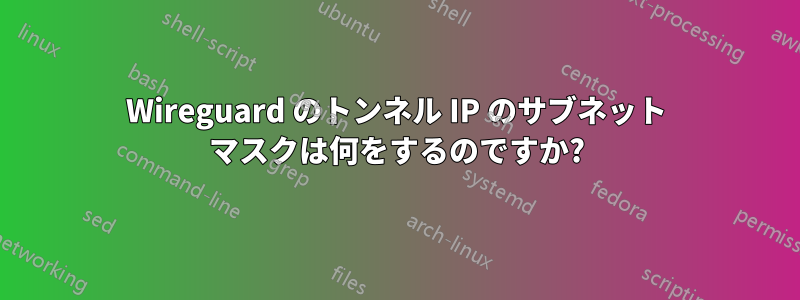 Wireguard のトンネル IP のサブネット マスクは何をするのですか?