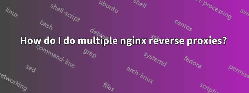 How do I do multiple nginx reverse proxies?