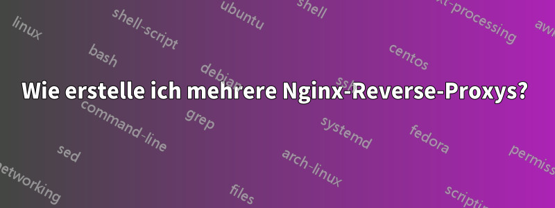 Wie erstelle ich mehrere Nginx-Reverse-Proxys?